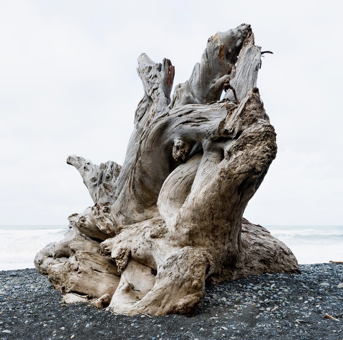 Drift Log, Rialto Beach, Olympic Peninsula, Washington - James